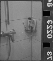 mamiya16_01.jpg