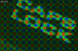 screen.png