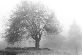 IMG_3312.jpeg