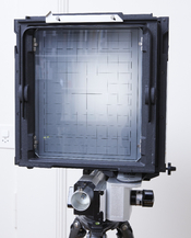 SinarS-8x10-03.jpg