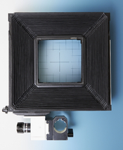 dos8x10-02.jpg