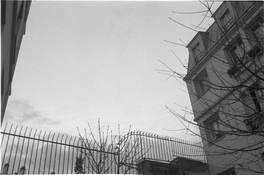 Untitled (35).jpeg
