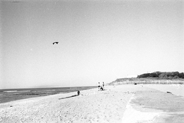 Untitled (5).jpeg