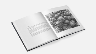Mockup_Bruce_Barnbaum_open_06_01.jpeg
