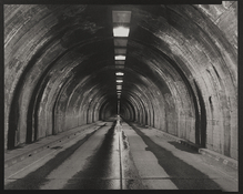 WawonaTunnel_YNP copy.jpg