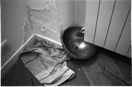 Untitled (51).jpeg