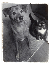 Mose&Noodle.jpg