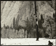 ElCapitanMeadowSnow_Platinum copy.jpg