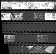109-Leica-wholeRoll.jpg