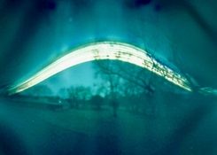 IMG_2074.jpeg