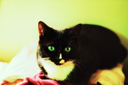32A_0284.jpg