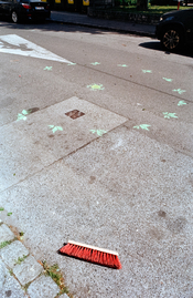 IMG_5823.jpeg