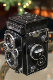 R6II0242.JPG