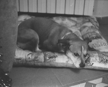 PICT0008.JPG