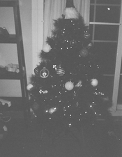 PICT0005.JPG