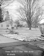 4x5 tmax 100 fuji 150mm f5.6 rated at 80 2-001.jpg