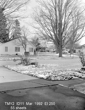 4x5 Tmy2 fuji 150mm f5.6 rated at 250 1-001.jpg