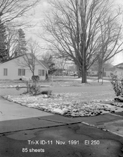 4X5 tri-x ID-11  1.jpg