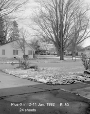 4X5 tri-x ID-11  4.jpg