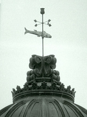 fv_300mm_k800_pctea17_03_ss.jpg