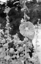 _n70_k400_d231114s.jpg