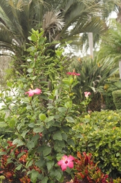 L1003133 copy.JPG