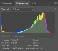Screen Shot 2024-01-10 at 3.11.47 PM.png