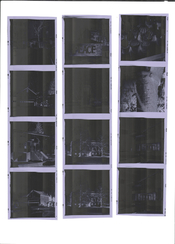 Contact sheet unsquared.jpg