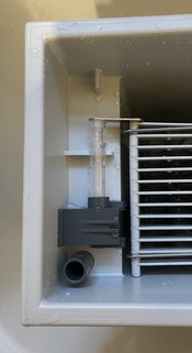 IMG_5185.jpeg