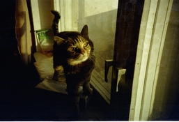 mmexport1705333710933.jpg