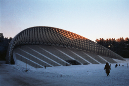 Image (2).jpg