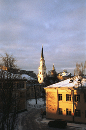 Image (11).jpg