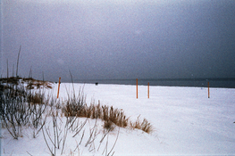 Image (33).jpg