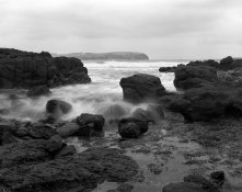 APUG Cape Schank007.jpg