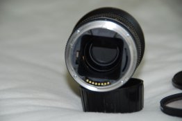 DSC_9959.JPG