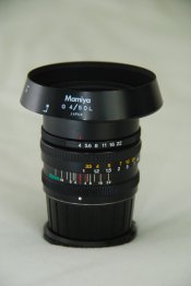 DSC_9968.jpg