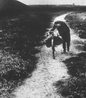 Coal-Searcher.jpg