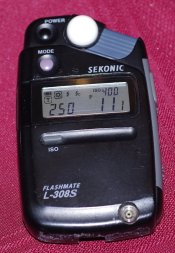 l308s.jpg