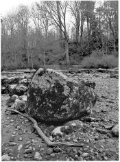 50g-2012-04-13.jpg