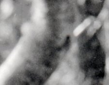 mmmm_film_oof_scan2.jpg mmmm_film_oof_scan2.jpg