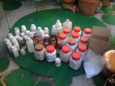 The Inherited Chemicals.JPG