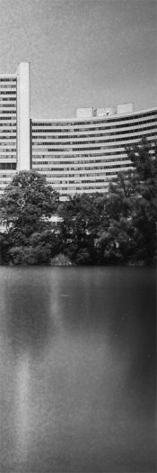 archit5 100 crop.jpg