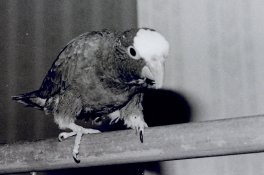 marcor-fd-1.jpg marcor-fd-1.jpg