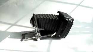 pressman_ 7.jpg