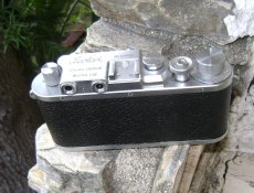 leo-div-9.JPG