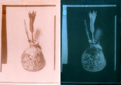 dlp_cupro_semigloss_bwcyanoneg_p.jpg