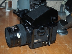 P1230003.JPG