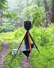 8x10 Arkay, Ries Tripod.jpg
