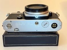 FE4020053 (5).JPG