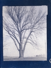canson_cyano_fp4_45.jpg